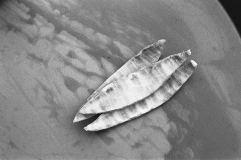 GestesOrdinaires_LeilaPereira_032