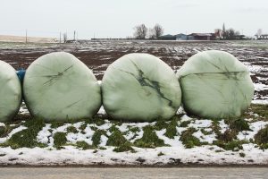 hiver 2010